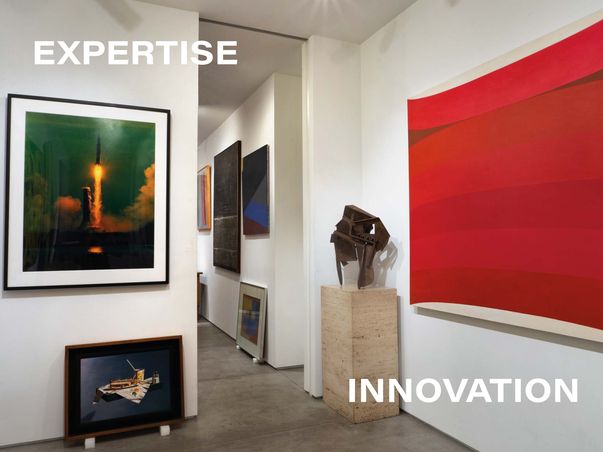 Expertise and Innovation